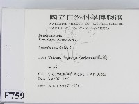 登錄號:F0007590藏品圖，第2張