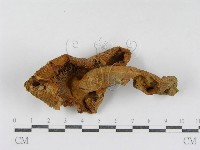 登錄號:F0007590藏品圖，第3張