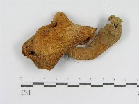 登錄號:F0007590藏品圖，第4張