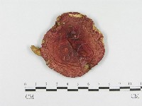 登錄號:F0007591藏品圖，第1張