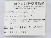 登錄號:F0007592藏品圖，第2張