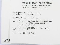 紅菇屬藏品圖，第2張