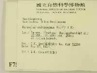 登錄號:F0007594藏品圖，第2張