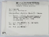 登錄號:F0007599藏品圖，第2張