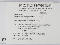 登錄號:F0007602藏品圖，第2張