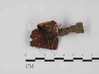 登錄號:F0007602藏品圖，第1張