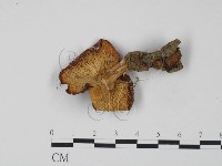 登錄號:F0007602藏品圖，第3張