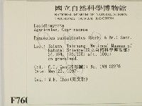 登錄號:F0007603藏品圖，第2張