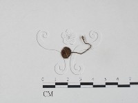 登錄號:F0007603藏品圖，第3張