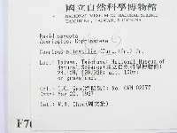 登錄號:F0007604藏品圖，第2張