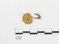 登錄號:F0007605藏品圖，第1張