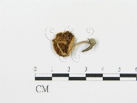 登錄號:F0007605藏品圖，第3張