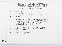 傘菌屬藏品圖，第2張