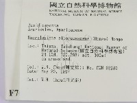 登錄號:F0007607藏品圖，第2張