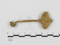 登錄號:F0007607藏品圖，第3張