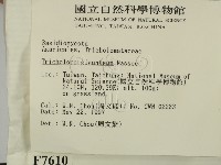 登錄號:F0007610藏品圖，第2張