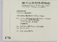 登錄號:F0007611藏品圖，第2張