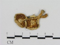 登錄號:F0007613藏品圖，第3張