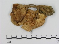 登錄號:F0007615藏品圖，第1張