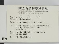登錄號:F0007616藏品圖，第2張