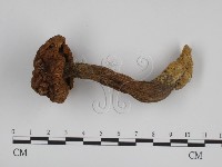 登錄號:F0007616藏品圖，第1張