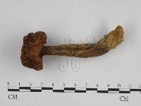 登錄號:F0007616藏品圖，第3張