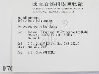 登錄號:F0007617藏品圖，第2張