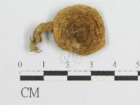 登錄號:F0007617藏品圖，第1張