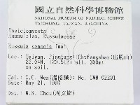 登錄號:F0007618藏品圖，第2張