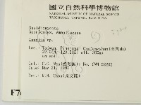 鵝膏屬藏品圖，第2張