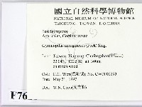 登錄號:F0007620藏品圖，第2張