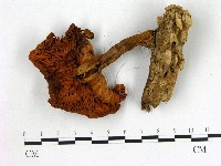 登錄號:F0007620藏品圖，第3張