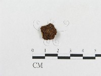 登錄號:F0007622藏品圖，第1張