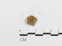 登錄號:F0007622藏品圖，第3張