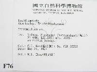 微皮傘屬藏品圖，第2張