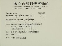 登錄號:F0007626藏品圖，第2張