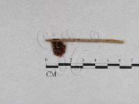 登錄號:F0007626藏品圖，第3張