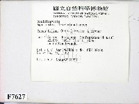 登錄號:F0007627藏品圖，第2張