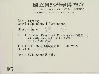 小孔菌屬藏品圖，第2張