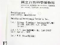 登錄號:F0007633藏品圖，第2張