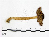 登錄號:F0007633藏品圖，第1張