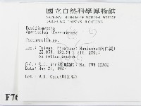 登錄號:F0007635藏品圖，第2張