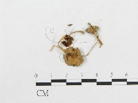 登錄號:F0007635藏品圖，第3張