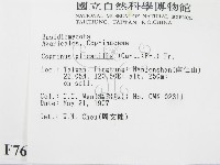 登錄號:F0007637藏品圖，第2張