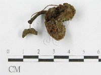 登錄號:F0007637藏品圖，第1張