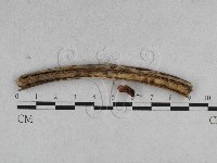 登錄號:F0007638藏品圖，第3張