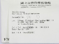 小皮傘屬藏品圖，第2張