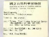 登錄號:F0007645藏品圖，第2張