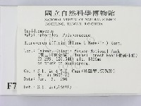 相鄰小孔菌藏品圖，第2張