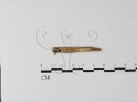 登錄號:F0007647藏品圖，第3張